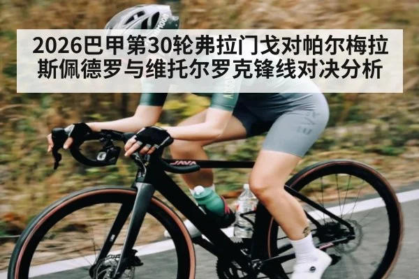 2026巴甲第30轮弗拉门戈对帕尔梅拉斯佩德罗与维托尔罗克锋线对决分析